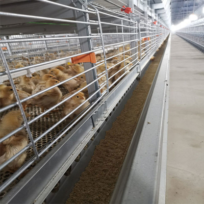 3-9 Floor Farm Battery Chicken Cage With Automatic System High Density