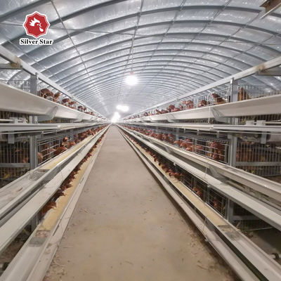 Kandang Ayam Petelur Tipe H Komersial dari Pemasok & Produsen Terpercaya | Pengiriman Aman & Pemuatan Kontainer
