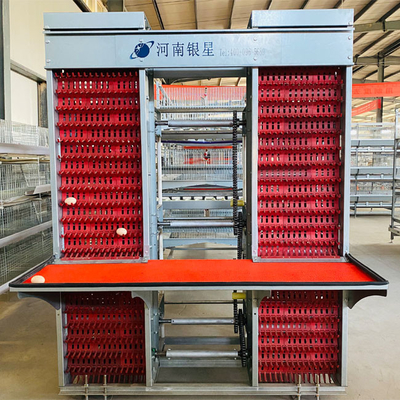 Customized Multi Layer Poultry Cage Automatic Egg Collection Cages