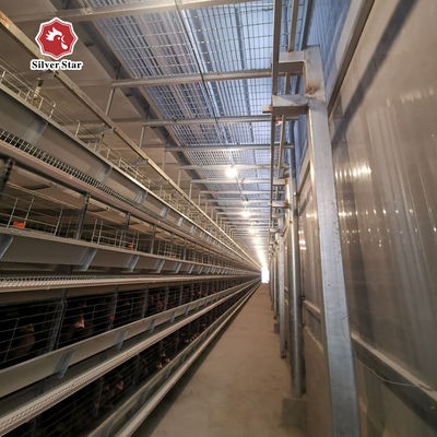 Solusi Proyek Kandang Baterai Tipe H-Layer untuk 50.000+ Peternakan Ayam