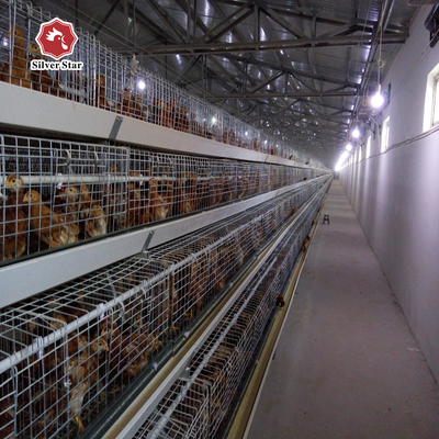 Enriched 3-8 Tiers Baby Chick Cage For Day Old Layer Chicks